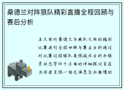 桑德兰对阵狼队精彩直播全程回顾与赛后分析