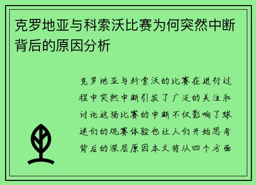 克罗地亚与科索沃比赛为何突然中断背后的原因分析
